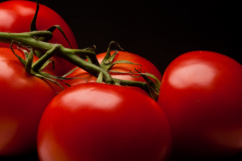 Fresh tomatoes on the vine.