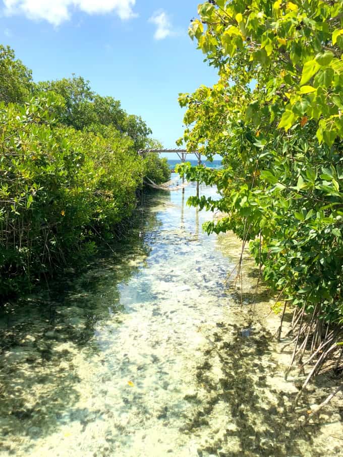 Hammocks in a serene location above the water in the mangroves