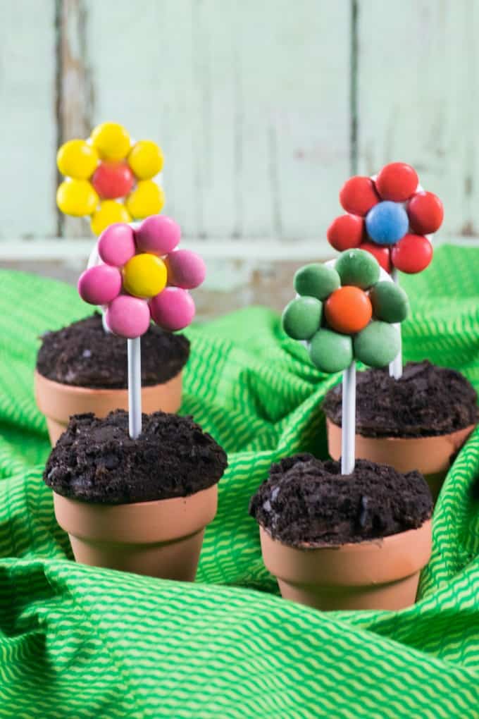 Flower Pot Cupcakes on a green table cloth