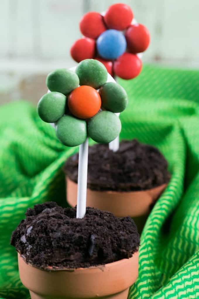 Close up of Flower Pot Cupcakes