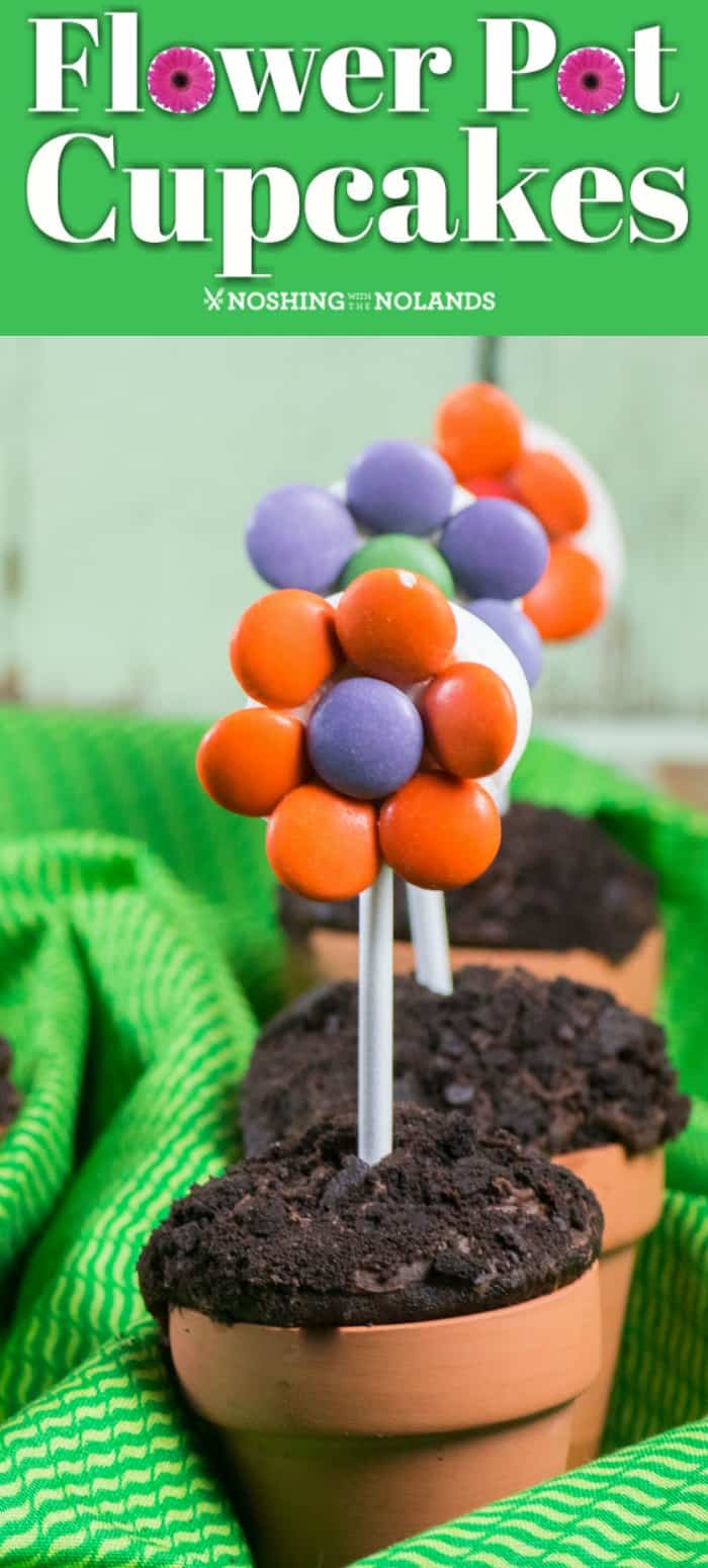 These adorable Flower Pot Cupcakes are perfect for any spring or summer gathering. They also make a very fun edible craft for young and old to make!! #flowerpotcupcakes #cupcakes #ediblecraft