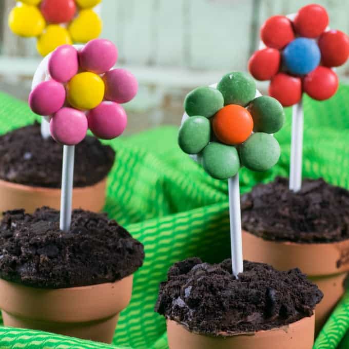 Flower Pot Cupcakes on a green table cloth