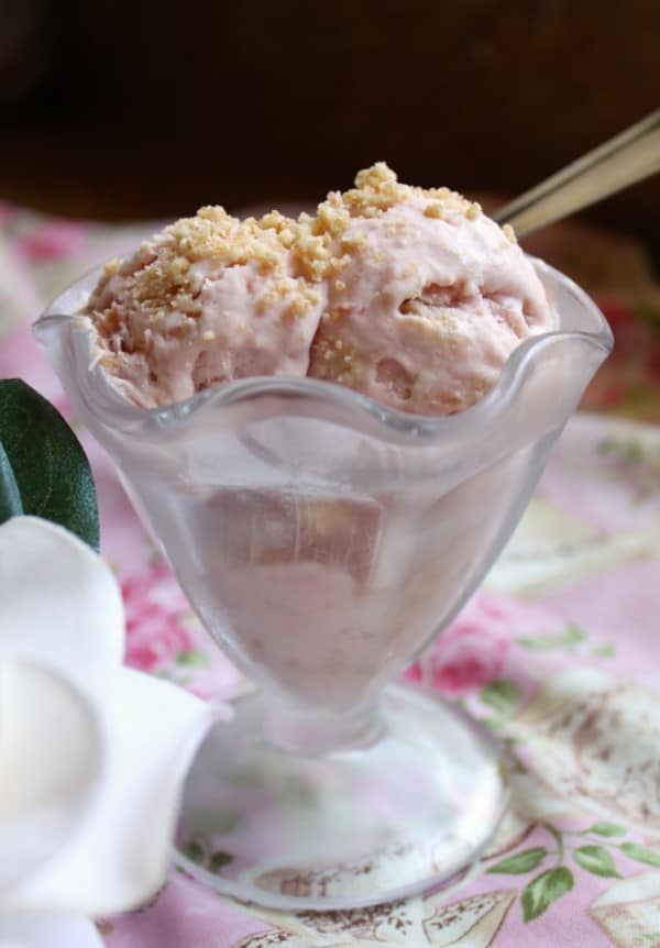 Delia's Rhubarb Crumble Ice Cream in a glass ice cream dish
