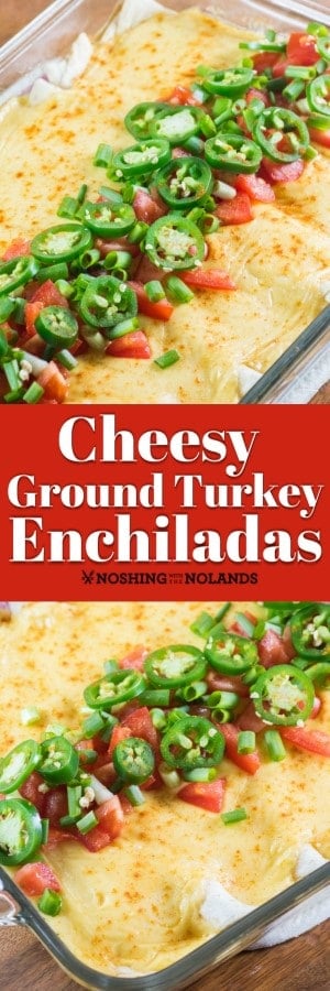 Cheesy Ground Turkey Enchiladas - Noshing With the Nolands