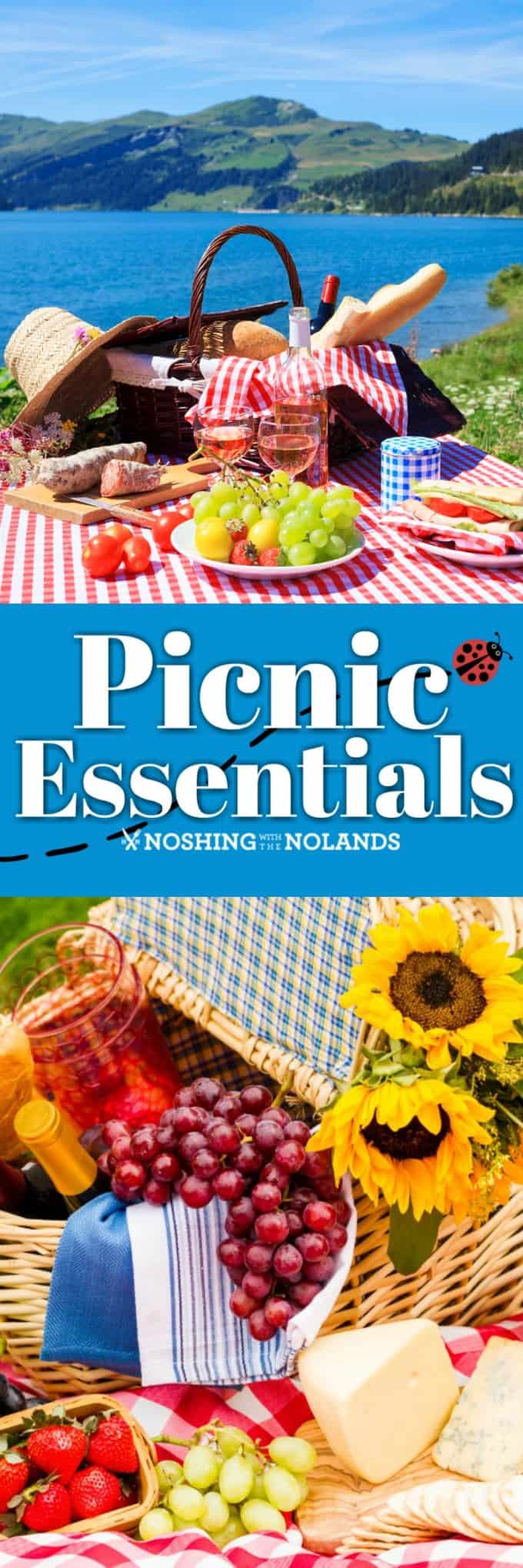 Picnic Essentials is a full guide to making the best picnic ever! Get outside and enjoy your summer!! #picnicessentials #picnic #picnicbasket