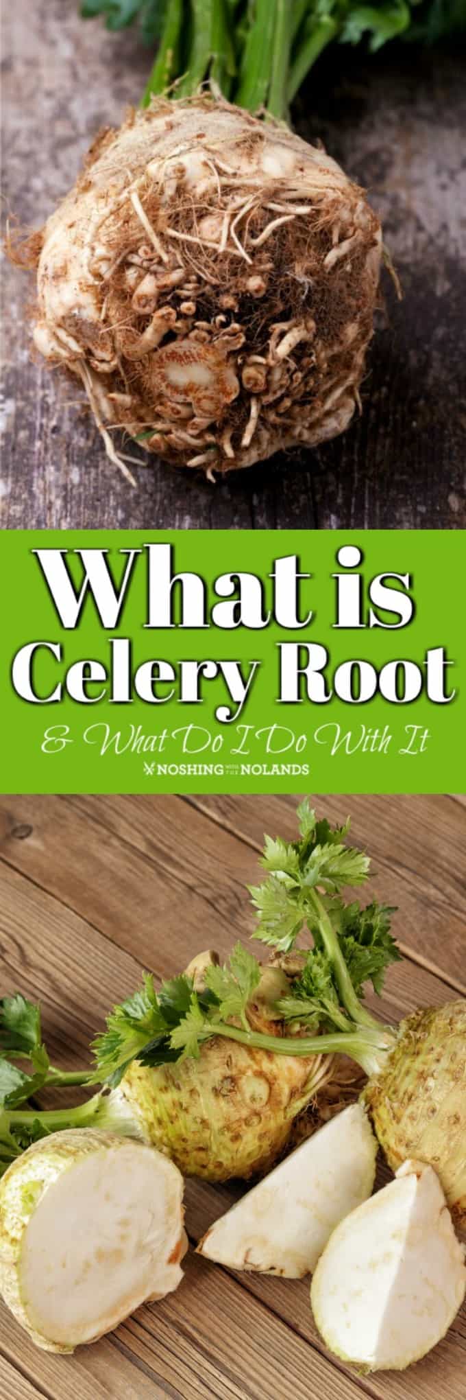 What is Celery Root and What Do I Do With It? How to cook, peel and eat is explained in this easy read so you can try something perhaps new!! #celeryroot