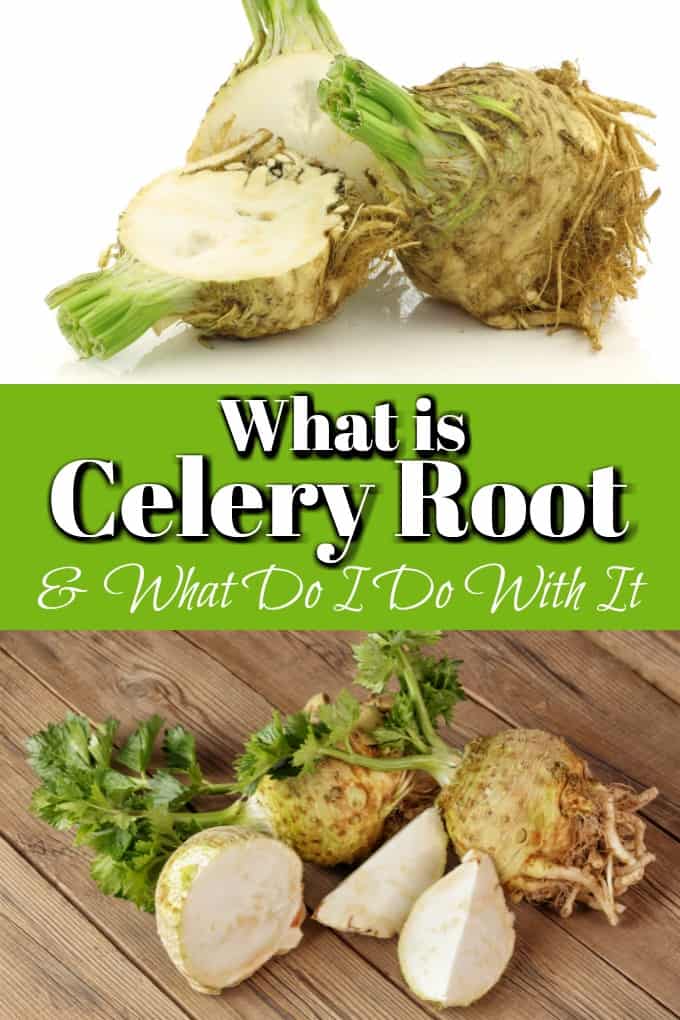 What Is Celery Root Celeriac And What Do I Do With It