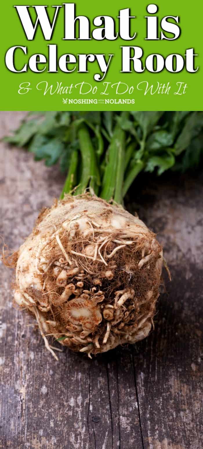 What is Celery Root and What Do I Do With It? How to cook, peel and eat is explained in this easy read so you can try something perhaps new!! #celeryroot