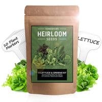 10 Heirloom Lettuce and Leafy Greens Seeds - 1500 Seeds - Non Gmo Seeds For Planting - Kale, Spinach, Butter, Oak, Romaine, Iceberg, Bibb, Arugula | Hydroponic Home Vegetable Garden | Microgreen Seeds