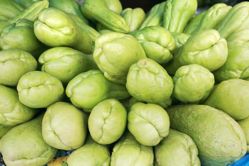 Lots of Chayote squash stacked together. 