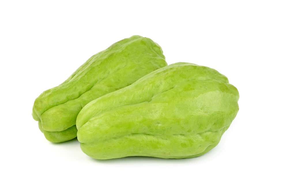 Two Chayote squash on a white background