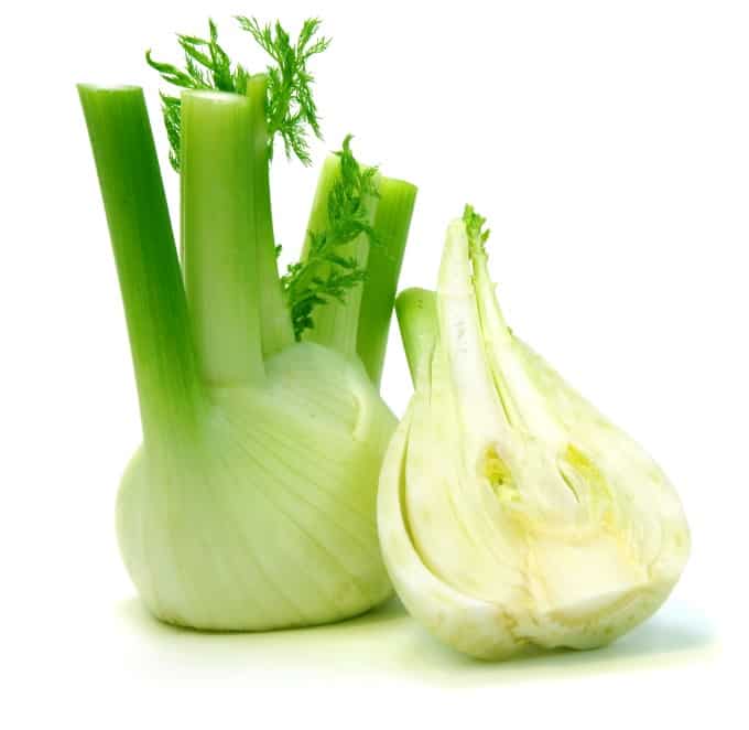 Fresh fennel on a white background