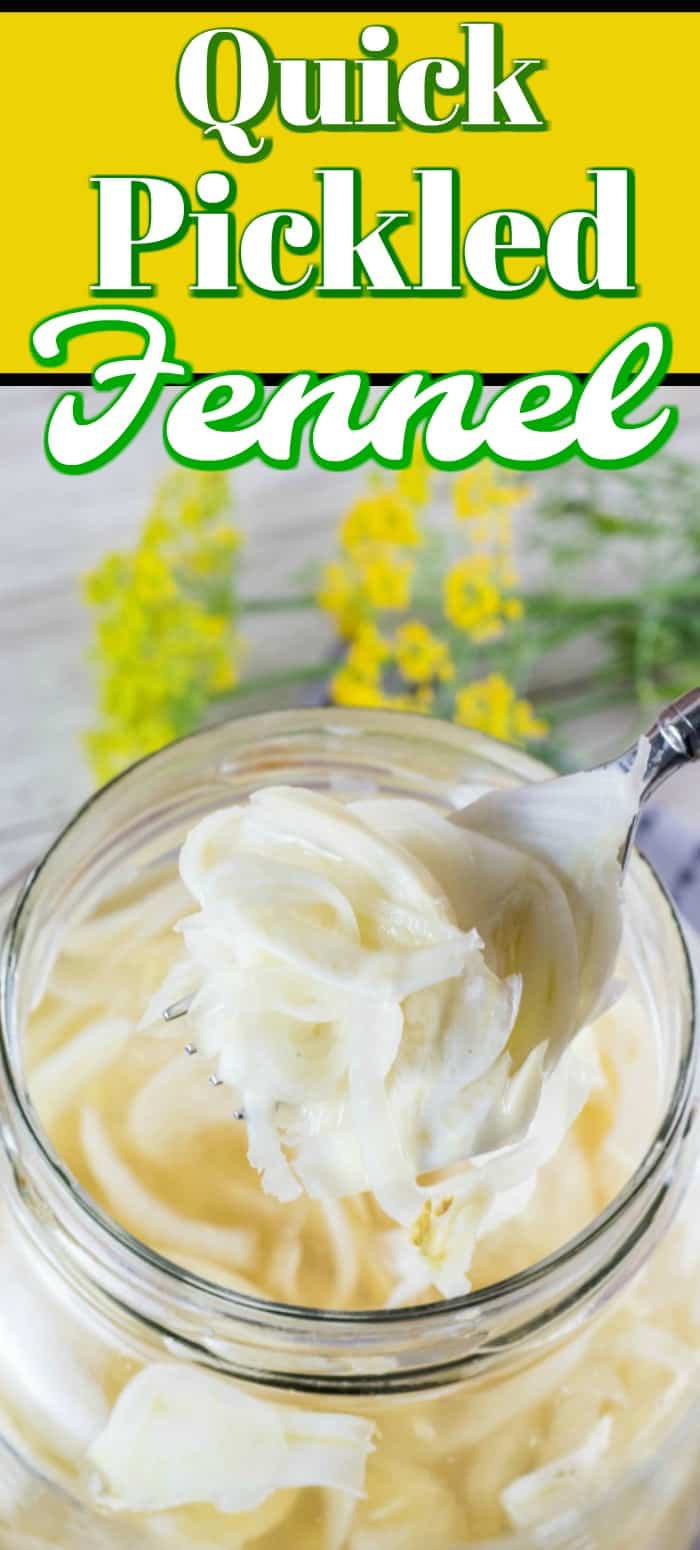 How to Quick Pickle Fennel is easy to learn and goes great on sandwiches, burgers, salads, seafood and more! #fennel #quickpickle