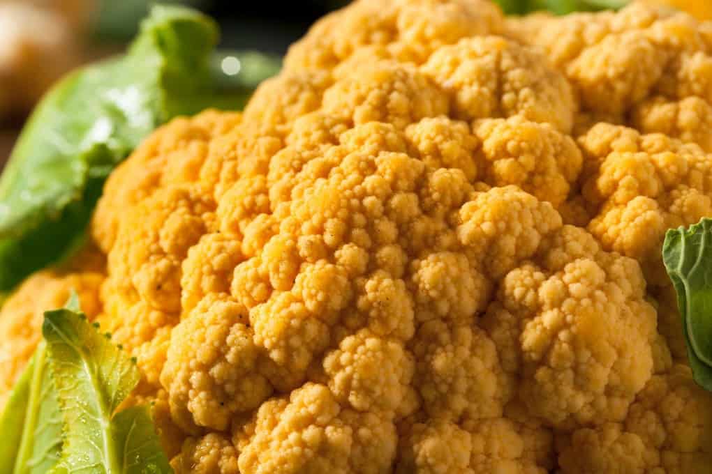 Close up of orange cauliflower