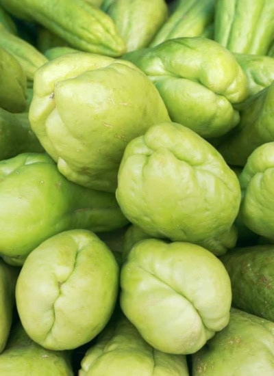 What is Chayote Squash vertical.