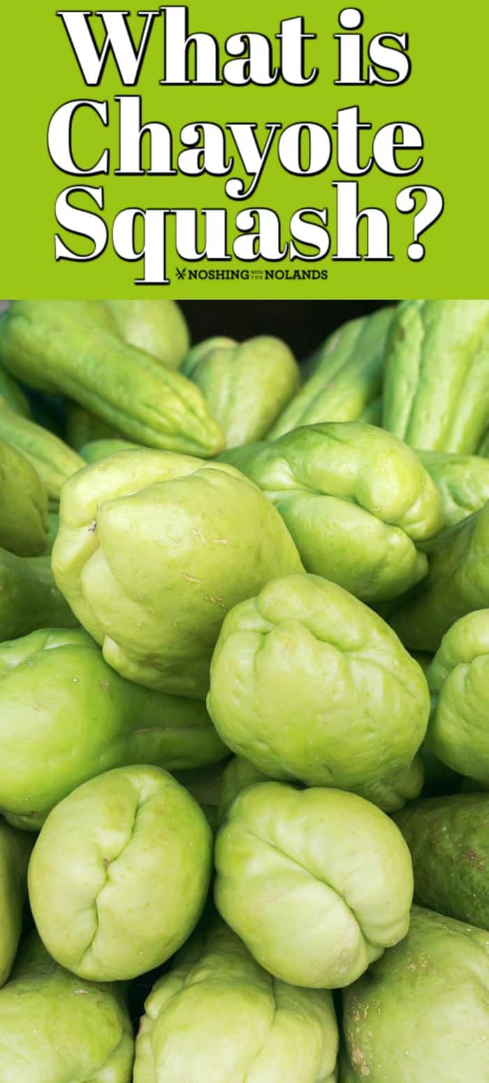 What is Chayote Squash Pin, close up of chayote squash. 