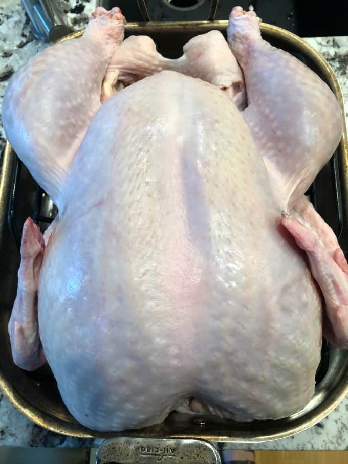 Turkey in a roasting pan