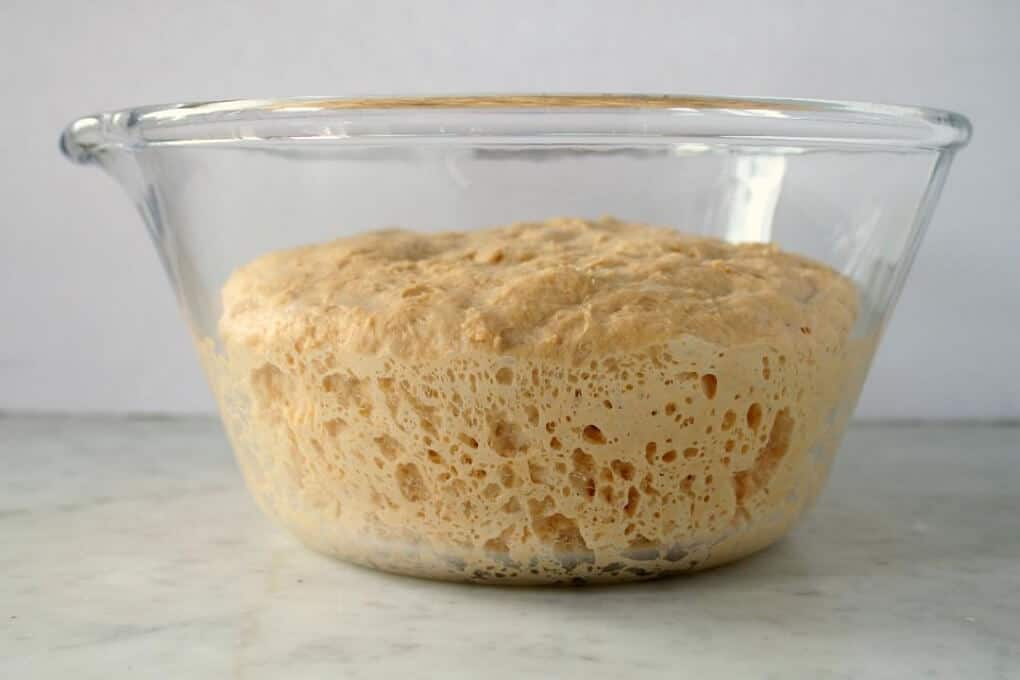 Pumpkin No Knead Bread - Bowl of dough after 12 hour rest period.