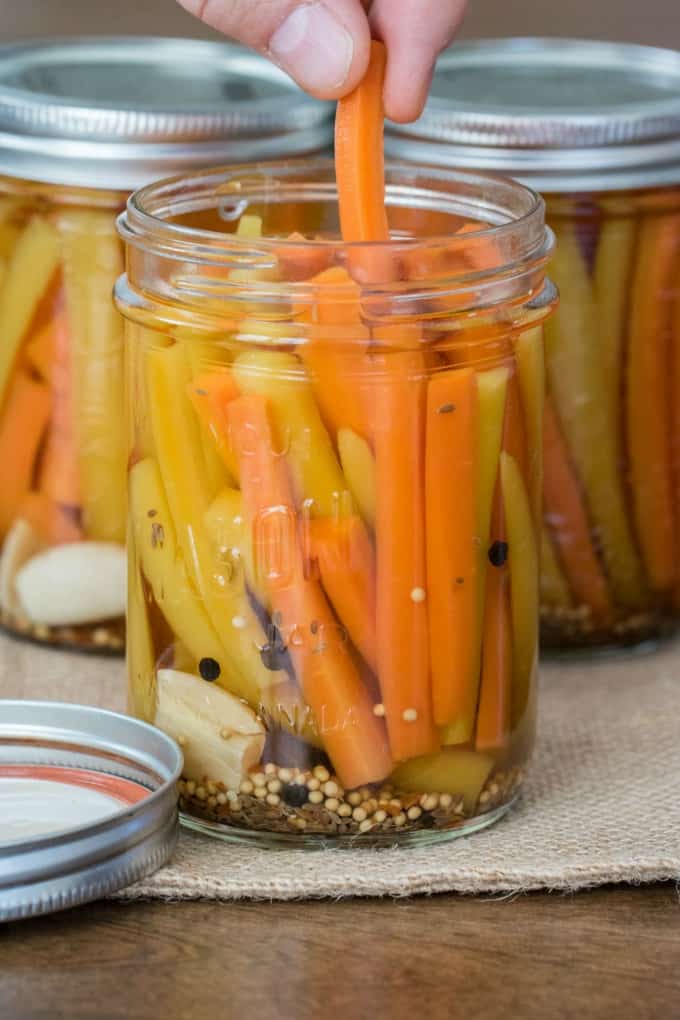 Taking an orange carrot from a jar of Easy Pickled Carrots