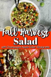 harvest vinaigrette cider