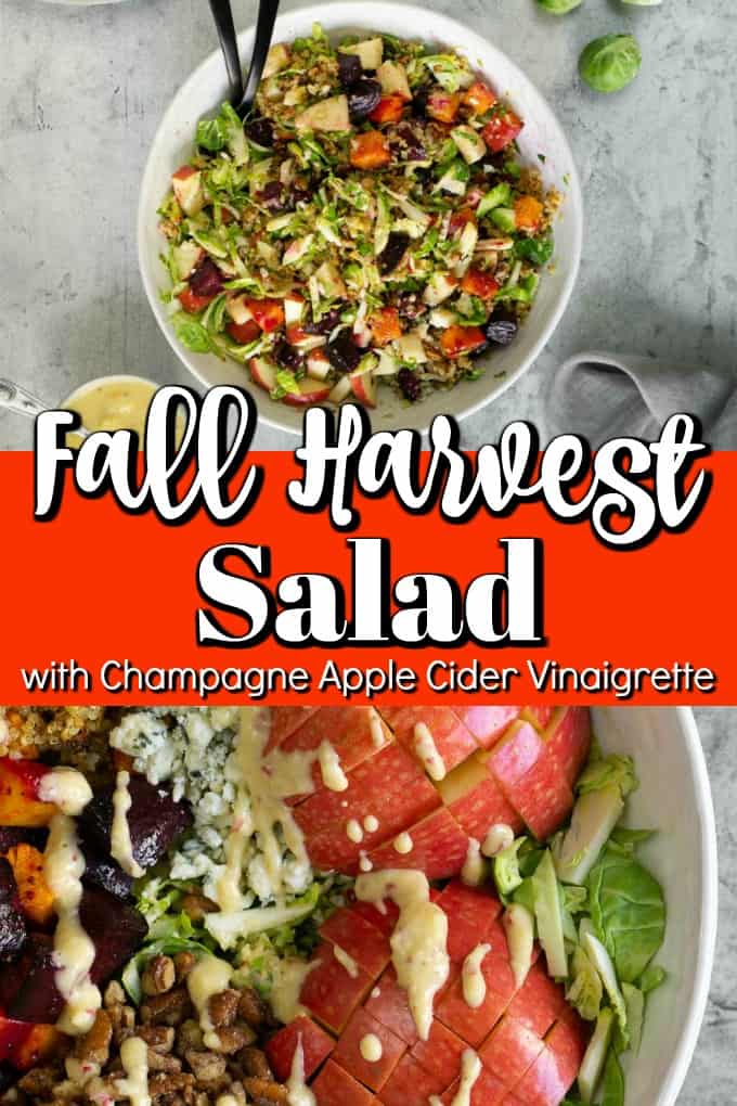 A fall harvest salad that celebrates all things fall. Loaded with brussels sprouts, blue cheese, crispy quinoa, roasted beets, and butternut squash and topped with the most delicious champagne apple cider vinaigrette! #fallsalad #harvest #applevinaigrette