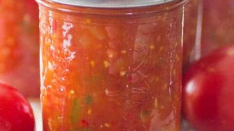 Homemade Canned Tomato Salsa