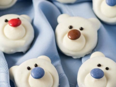 https://noshingwiththenolands.com/wp-content/uploads/2019/09/Polar-Bear-Cookies_-Custom-480x360.jpg