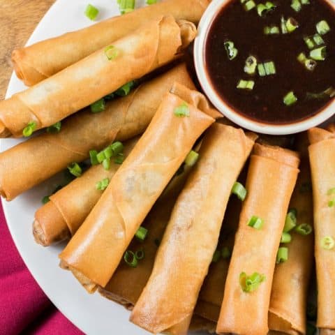 Turkey Spring Roll Recipe - Cranberry Dipping Sauce