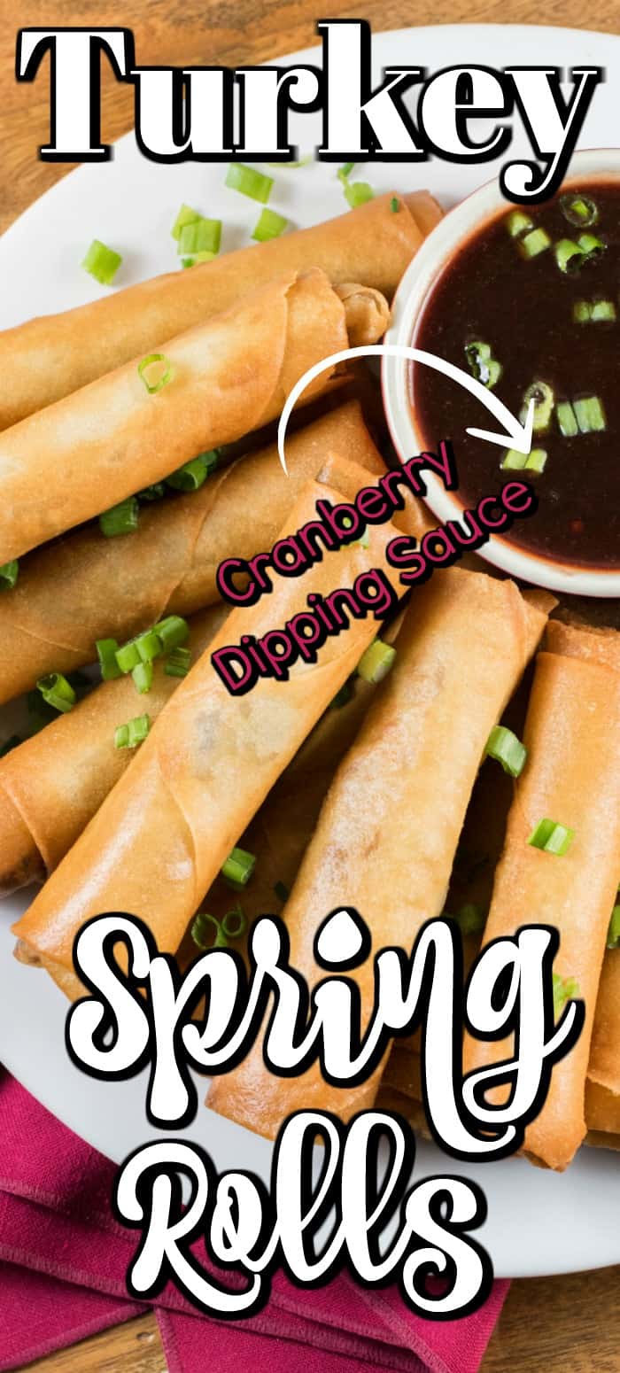 These Turkey Spring Roll Recipe with a Cranberry Dipping Sauce is perfect for the holidays for entertaining. #TurkeyTraditions #turkey #springrolls