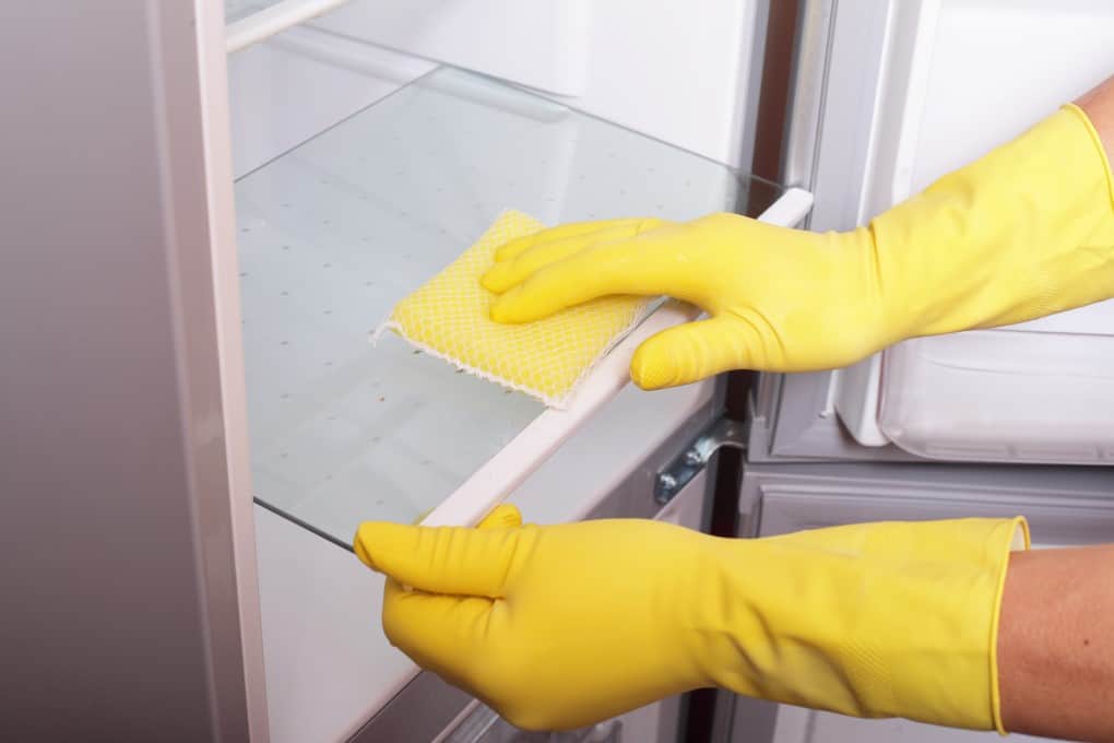 Hands cleaning refrigerator.