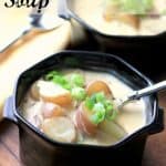 Cheesy Potato Soup - Noshing With The Nolands