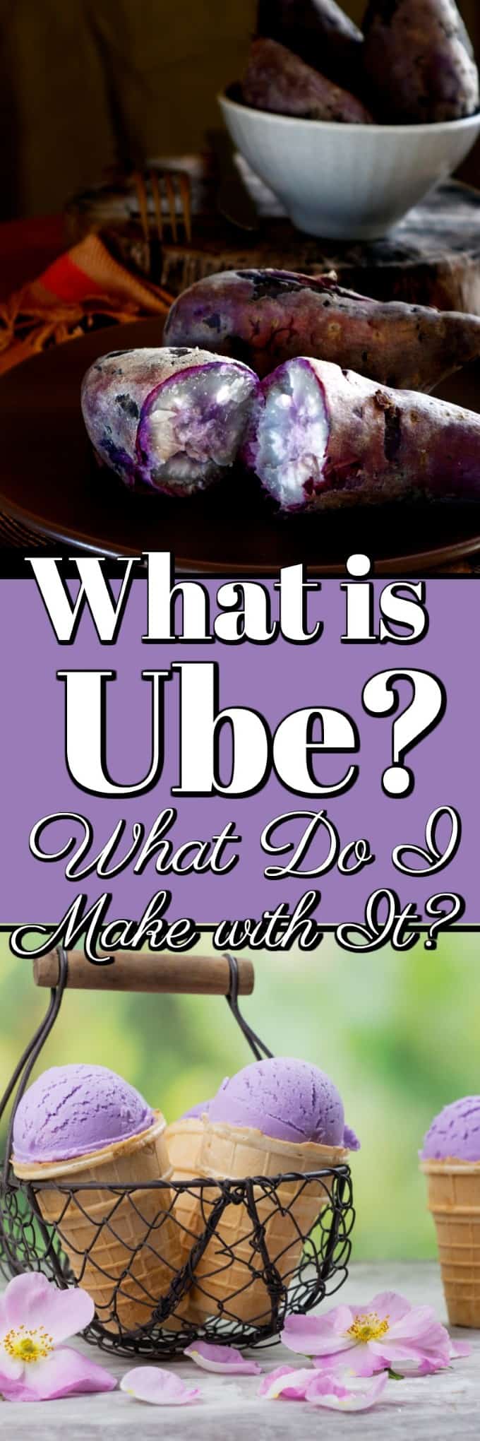 What is Ube? What Do I Make With It? This purple sweet potato is all the rage for lovely colored lilac desserts. Come and learn all about it! #howto #Ube