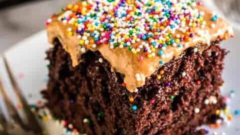 chocolate sheet cake with sprinkles