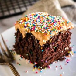 chocolate sheet cake on a plate