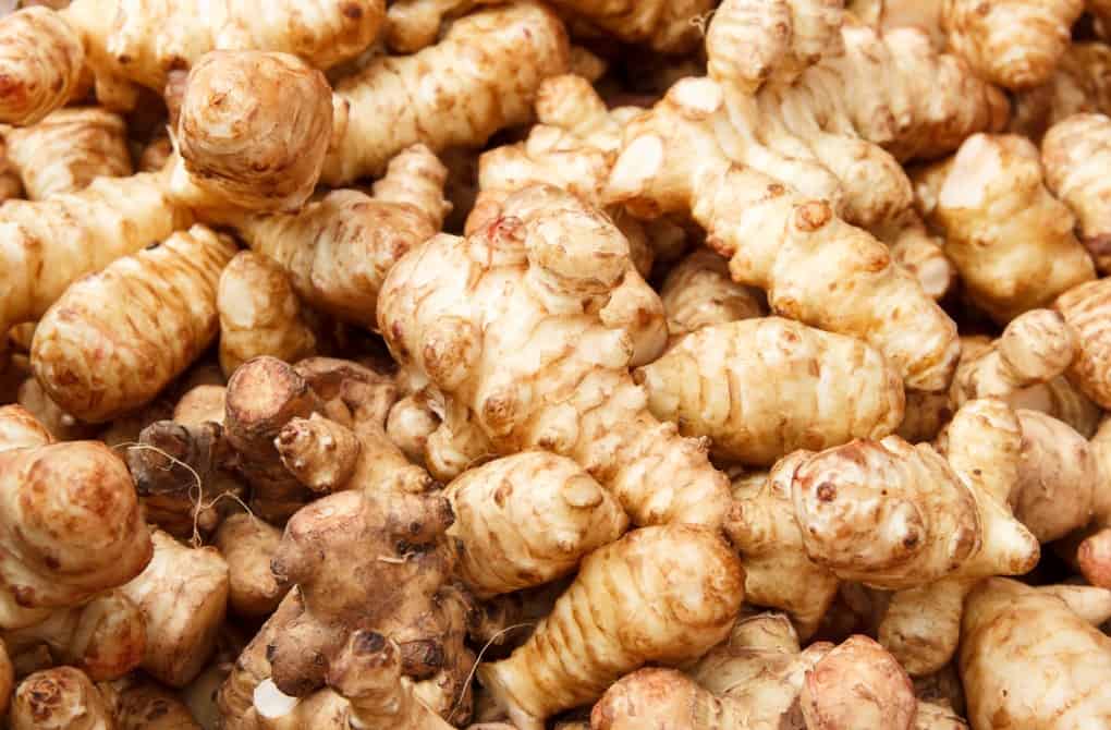 Jerusalem artichoke, sunchoke or sunroot