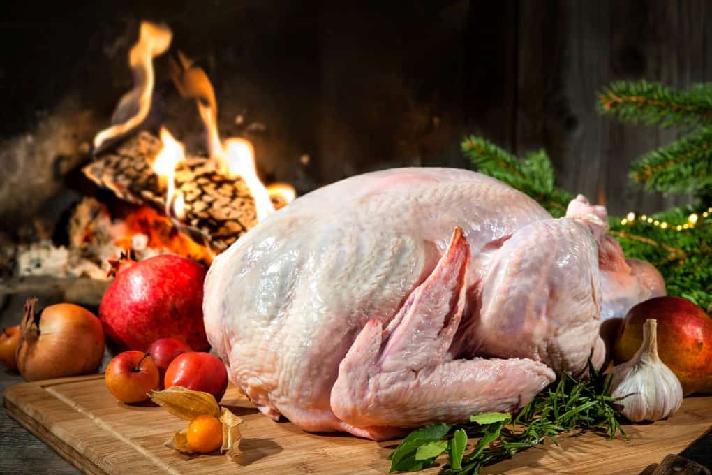 Preparing the christmas turkey in front of fireplace