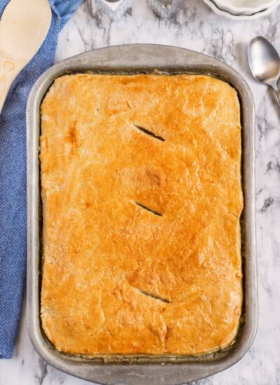 Chicken Pot Pie hero.