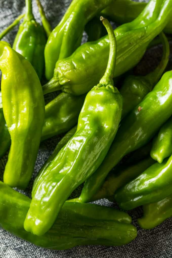 Raw Green Organic Shishito Peppers in a Bunch