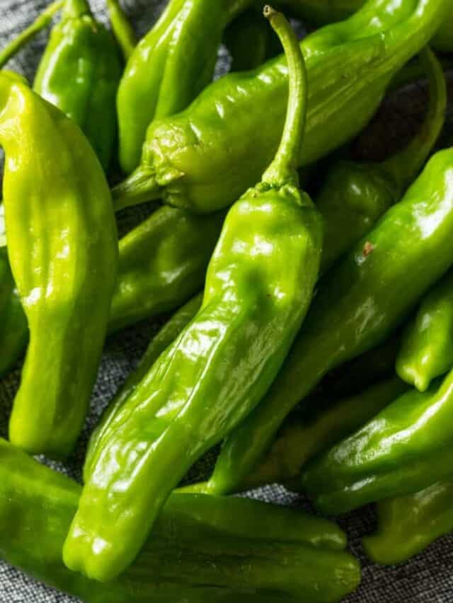 What are Shishito Peppers? How do I cook them? - Noshing With the Nolands