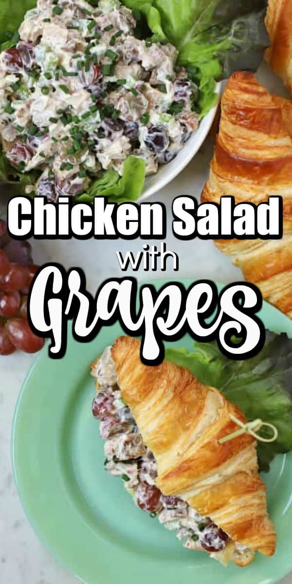 This simple recipe for Chicken Salad with Grapes can't be beat for a delicious easy salad for sandwiches or on its own. Enjoy a great combination of chicken, grapes, and celery to make a refreshing meal. #chickensalad #grapes #sandwiches