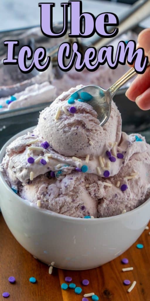 Ube Ice Cream - Noshing With the Nolands