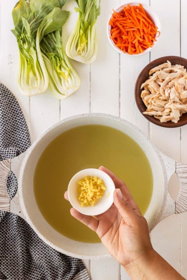 Chinese Chicken Noodle Soup - Noshing With the Nolands