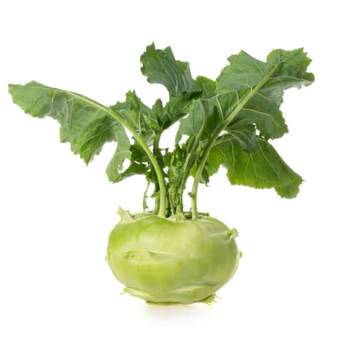 Kohlrabi on a white background