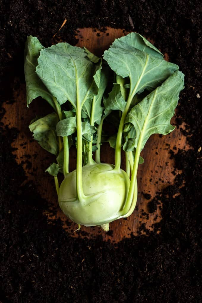 kohlrabi on a board with dirt surrounding it. 