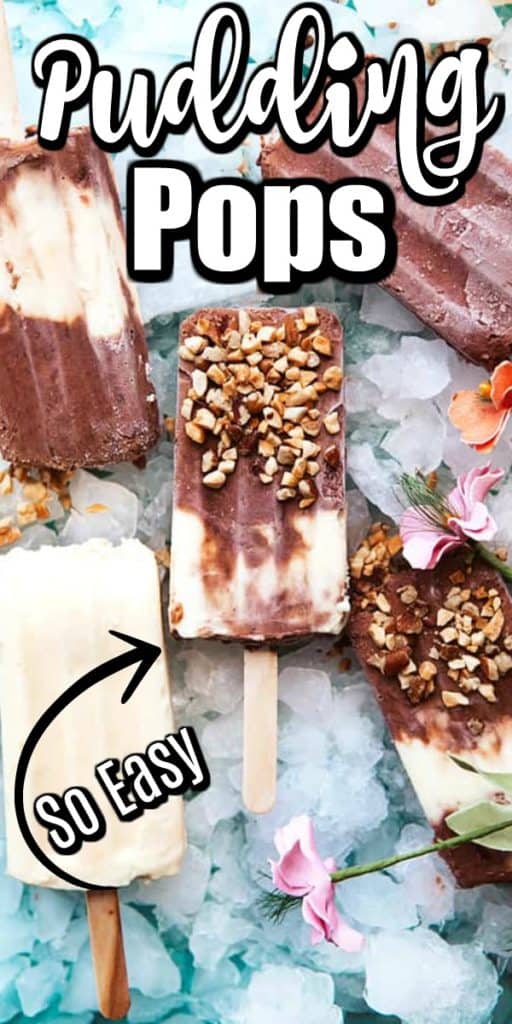 Pudding Pops - So Easy To Make - Noshing With the Nolands