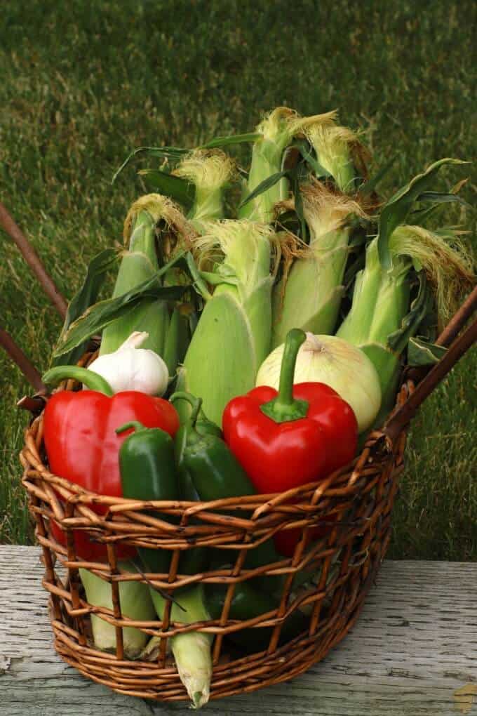 A wicker basket containing corn cobs, red peppers, garlic, onion, and jalapenos.