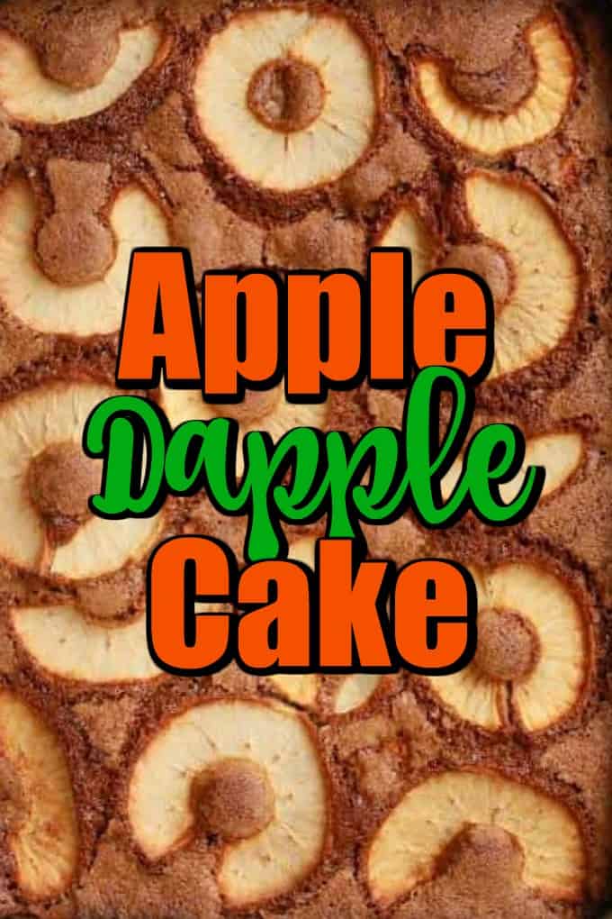 Apple Dapple Cake - Great Fall Vintage Cake Pin