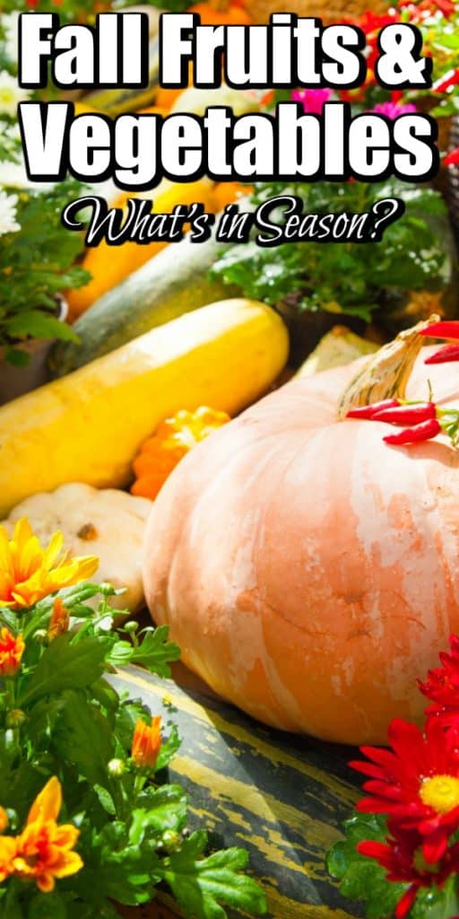 Fall Fruits and Vegetables - What's in Season? Pin