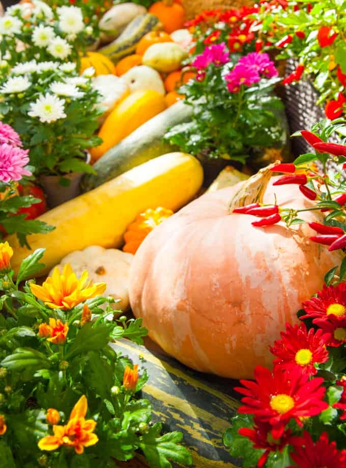 Fall vegetables and flowers on display.