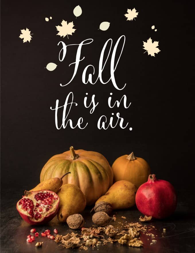 Fall is in the Air Banner with season fruit and vegetables. 